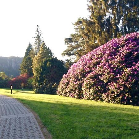 Ferienwohnung Am Gruenbach Rathen Exteriör bild