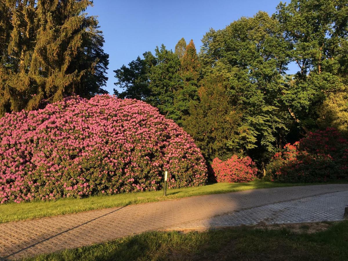 Ferienwohnung Am Gruenbach Rathen Exteriör bild