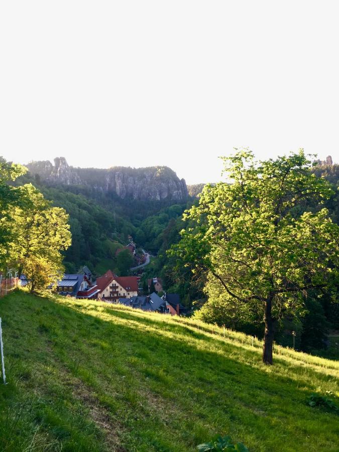 Ferienwohnung Am Gruenbach Rathen Exteriör bild